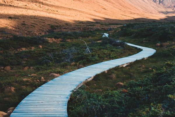 A path winding through a serene landscape with a bright sun.